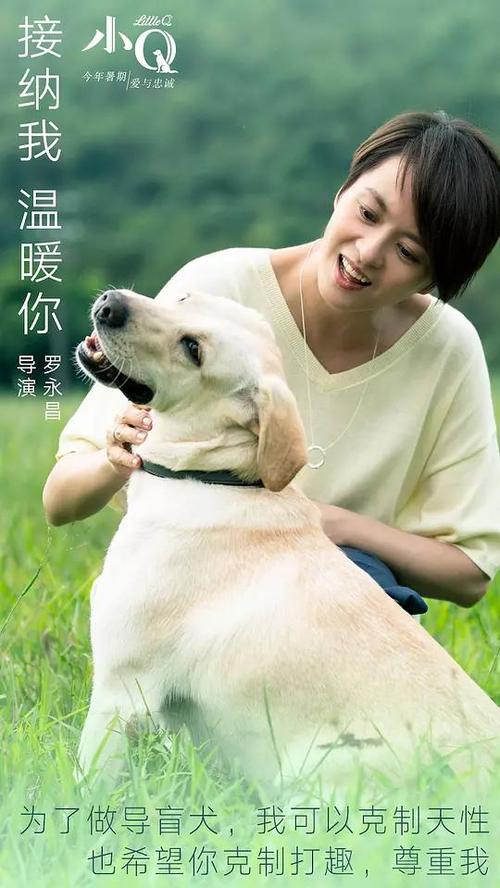 兰斯大学学士毕业证